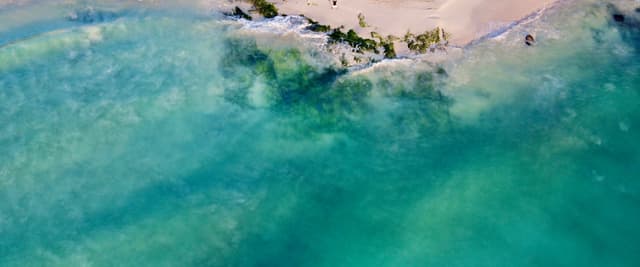 Vista aérea de Playa del Carmen con aguas del Caribe de color turquesa intenso y playa de arena blanca