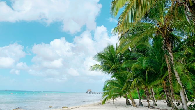 Select Di: diseño de interiores inspirado en la Riviera Maya